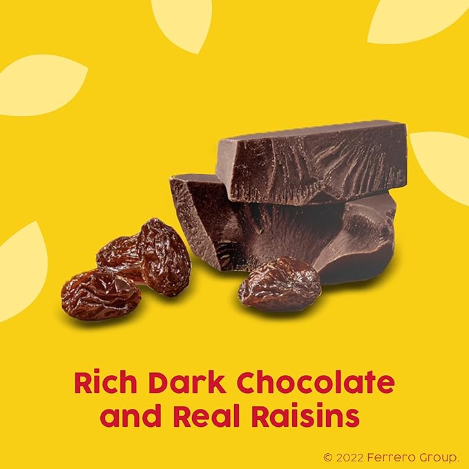 Raisinets Dark Chocolate Covered California Raisins Movie Theater Candy Box 3.1 oz each Bulk 15 Pack