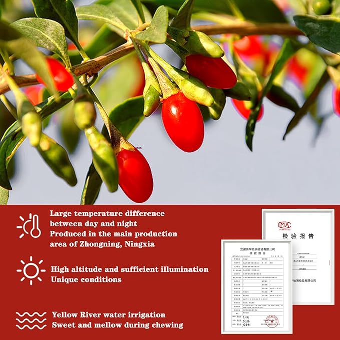 Shengmingxi Goji Berries 14.1OZ/400g Wolfberry Special Grade Goji Berry Dried Fruit Berry Whole &amp Large No Sulfur No Addition Great for Drinks Snacks Beverages 枸杞 枸杞子 红枸杞