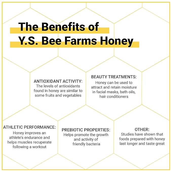 YS Eco Bee Farms Pure Raw Honey - Raw Unfiltered Honey Unpasteurized Honey - Kosher 3lbs - Bulk 3-PACK with Kinara Honey Scoop