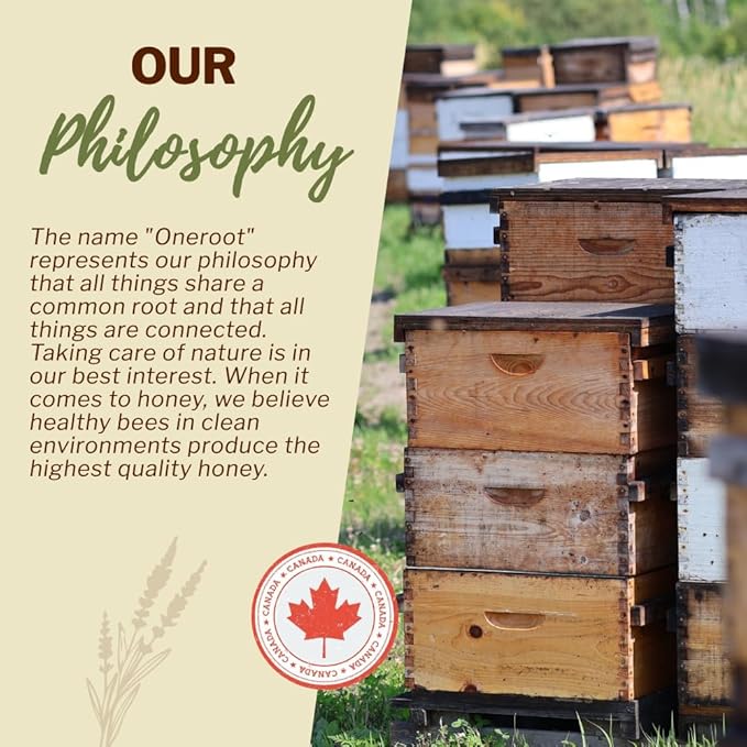OneRoot Raw Buckwheat Honey – 500g / 17.6oz Unheated &amp Unprocessed Dark – Nutrient-Rich Antioxidant-Packed Natural Sweetener – Pure &amp Unfiltered Honey