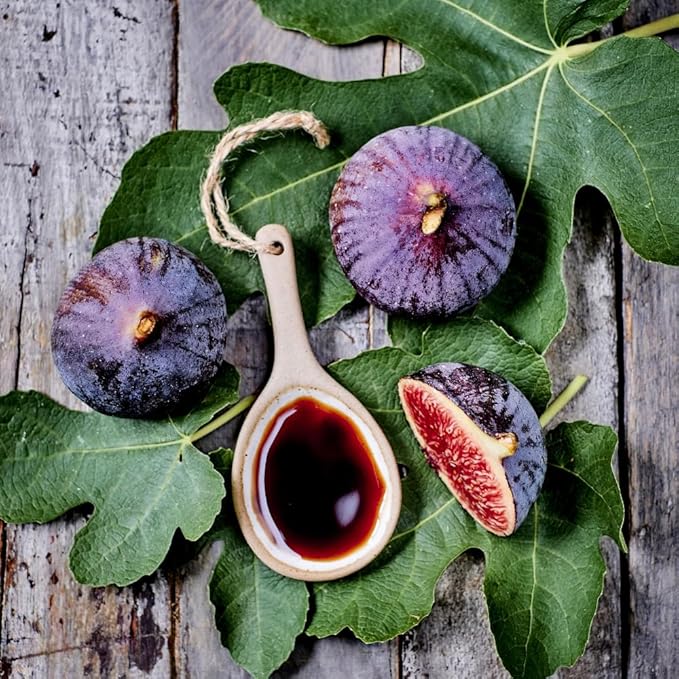 Oliviers &amp Co Fig Balsamic Vinegar of Modena IGP Certified Italian Gourmet Fig Glaze for Salad Cheese Marinade &amp Desserts Sweet &amp Tangy 8.5 Fl Oz
