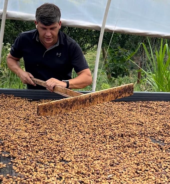 Single Origin Unroasted Green Coffee Beans From Colombia Specialty Grade Finca Portezuel Bourbon and Caturra Varietals (5 lbs Colombia Honey Process)