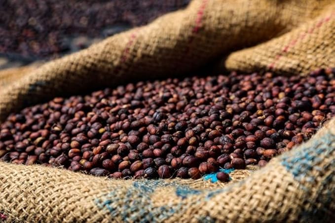 Sumatra Single Origin | Organic | Dark Roast | Fresh Roasted | Ground | 2lbs 1-Pack