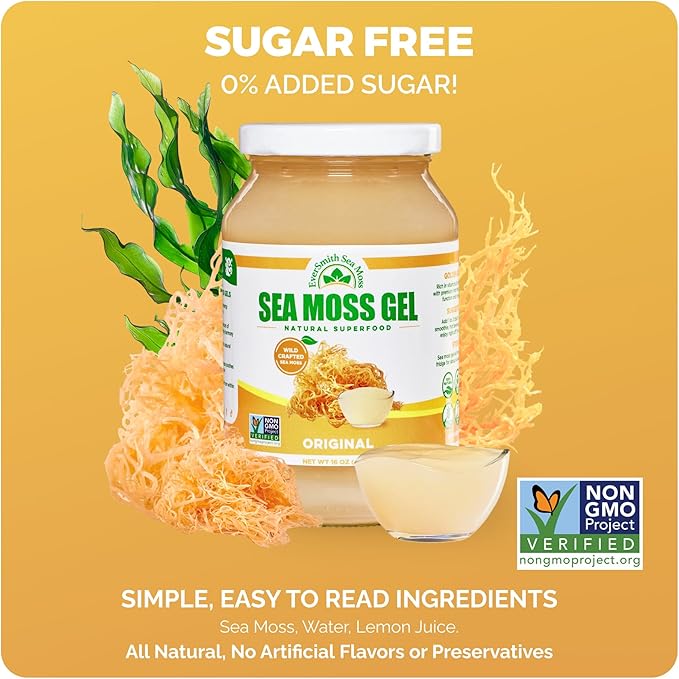 Wildcrafted Irish Sea Moss Gel | Made in USA | Rich in Vitamins &amp Minerals | Sea Moss Gel Raw | Nutritional Supplement (16 oz) (Unflavored)