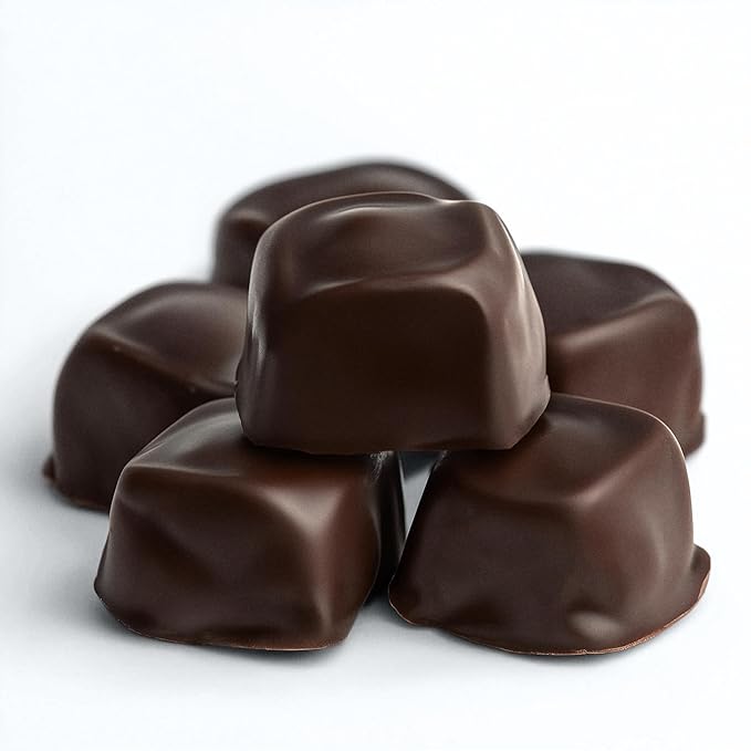Date Smarter Chocolate Covered Date Caramels - Naturally Sweetened with Real Dates - Vegan Gluten-Free Dairy-Free Refined Sugar-Free Plant-Based Snack Bites - Great Anytime Snack - 2.8 oz 3 Pack