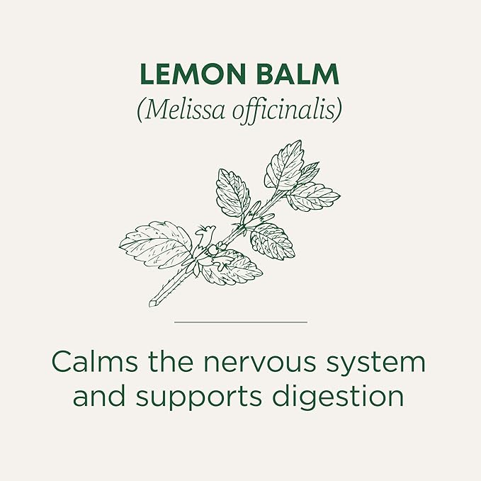 Traditional Medicinals - Organic Lemon Balm Herbal Tea (6 Pack) - Stress Relief &amp Supports Digestion - 96 Tea Bags Total