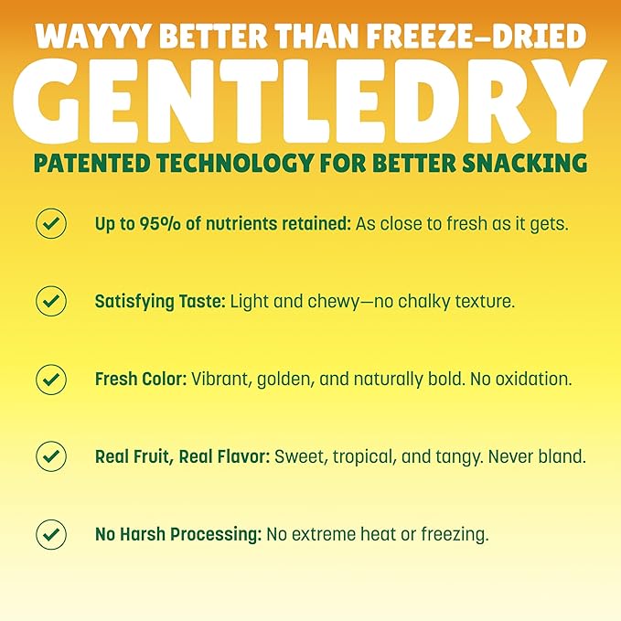 BranchOut Pineapple Chips (7 oz) and Chewy Banana Slices (10 oz) Bundle No Sugar Added GentleDry Better than Freeze Dried Fruit Healthy Vegan Snacks for Kids &amp Adults