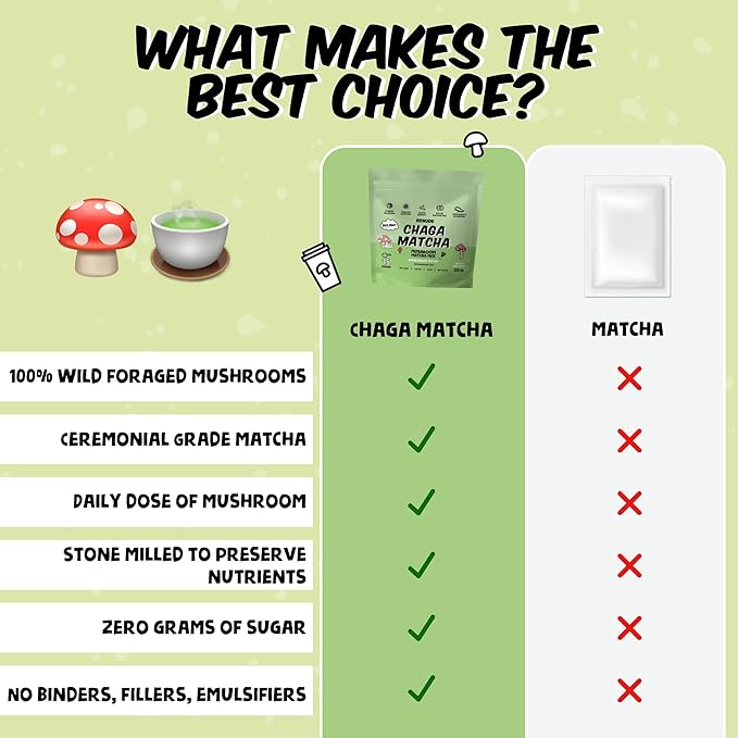 Renude Chaga Matcha - Chaga Mushroom Powder Superfood Drink Mix with Adaptogens Ceremonial Grade Mushroom Matcha Keto Vegan Sugar Free Natural Energy &amp Immune Support - 15 Servings per Bag