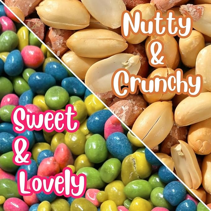 Rainbow Colored Boston Beans Candy Coated Peanuts by It's Delish 3 LBS Jumbo Reusable Container | Candy Coated Peanuts | Easter Candies &amp Party Favors for Birthday Parties Christmas | Vegan Kos