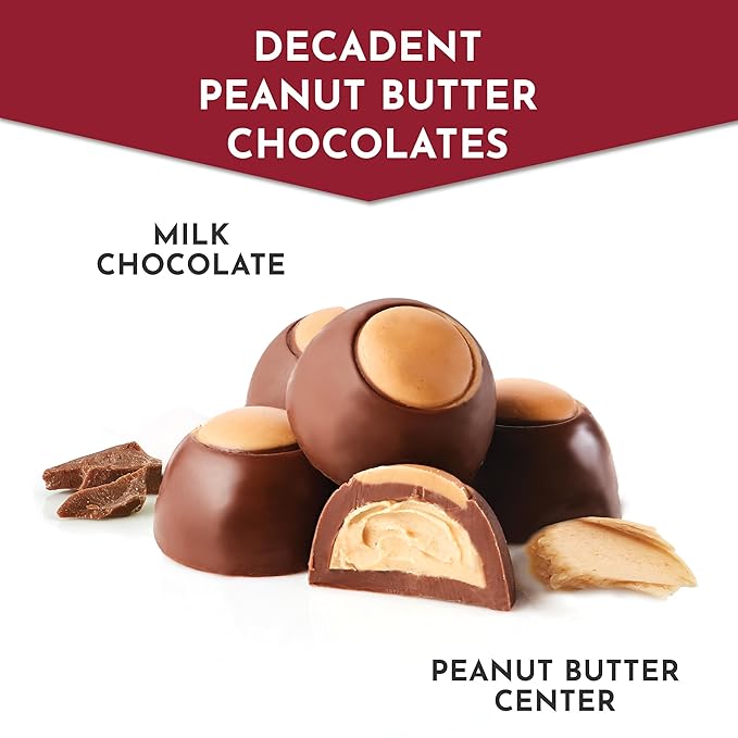 Fannie May Milk Chocolate Candy Peanut Butter Truffles Gift Box 11 oz