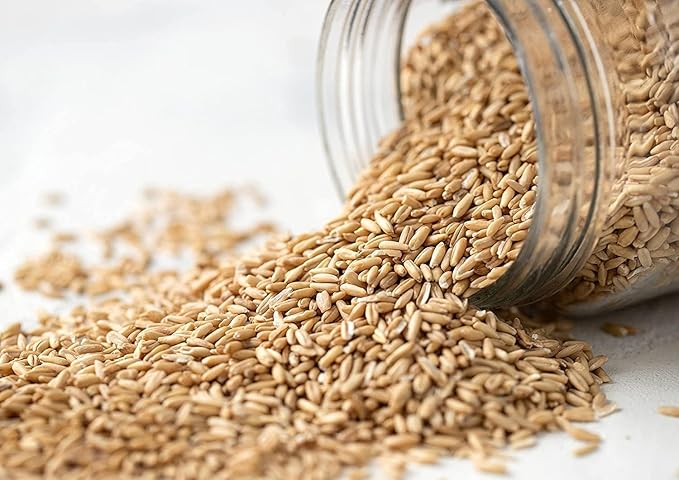Food to Live Organic Oat Groats 5 Pounds – 100% Whole Grain Non-GMO Seeds Kosher Raw Non-Irradiated Vegan Bulk Low Glycemic Rich in Protein Fiber Copper and Manganese