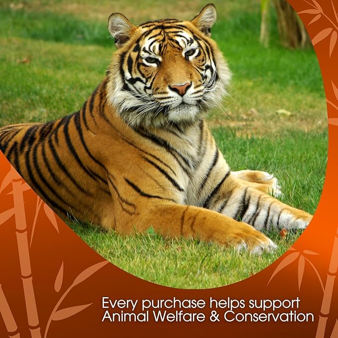 David Rio Food Service Bag Tiger Spice Chai 1 Pack (1 x 1.8 kg)