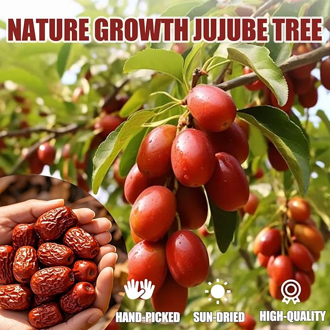 Premium Jujube Date 1LB/453gChinese Red Date Organic 红枣 100% Natural Sweet and Chewy Health Snack Dried Jujube for Snacking Tea Soup Baking or Oatmeal