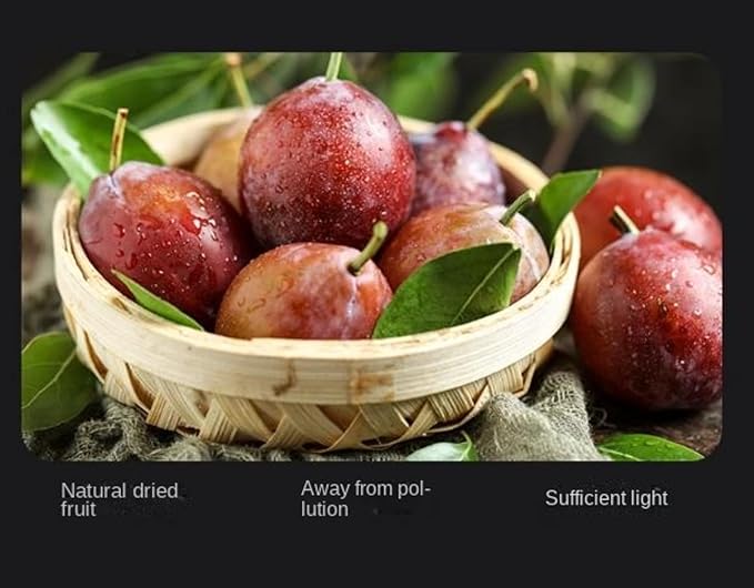 500g/17.6OZ/Bag | Healthy Sweet Dried Plums | NO PRESERVATIVES NO SUGAR ADDED