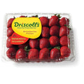 Evaxo Strawberries (4 lbs.)