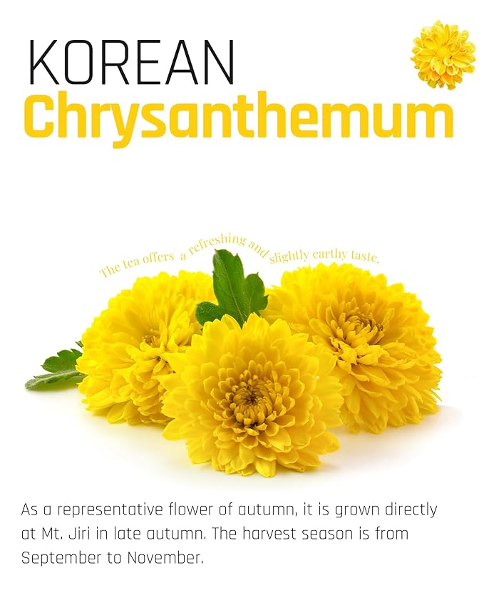 Ssanggye Chrysanthemum Floral Tea 0.5g x 100 Tea Bags Bulk Size Premium Korean Herbal Hot Cold Hygienic Single Teabag Flower Tea Sweet Soft Flavor 국화차 4 Seasons Made in Korea