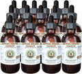 Hawaii Pharm Yarrow Alcohol-Free Liquid Extract Professional Grade Small Batch Crafted Yarrow (Achillea millefolium) Dried Herb Glycerite Natural Herbal Supplement 15x4 fl.oz