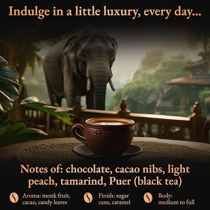 Black Ivory Coffee | Naturally Refined by Elephants | Rare Thai Arabica Whole Bean Coffee | 40 g (1.4 oz)