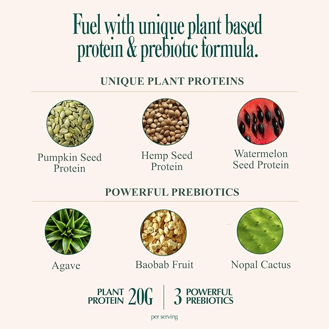 Coolside Superfood Vegan Protein Powder – Vanilla | 20g Plant Based Protein Supergreens Superfoods &amp Prebiotics | Rich and Delicious | Low Sugar | All in One | Whey Free | 15 Servings (27oz)