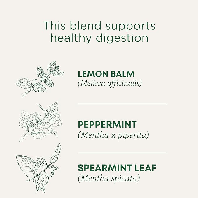Traditional Medicinals Organic Peppermint Delight Probiotic Tea (Pack of 6) Supports Healthy Digestion 96 Tea Bags Total