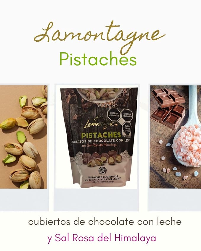 LAMONTAGNE Milk Chocolate Covered Sea Salt Pistachios with Pink Himalayan Salt 17.68 Ounce (500 g) + NAJD LLC Sticker + Reusable Ice Packs.