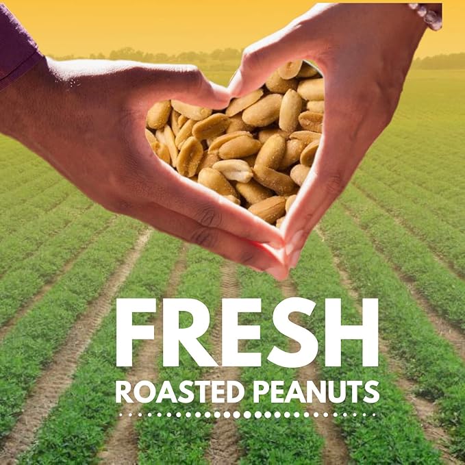 Peanuts Dry Roasted Unsalted Blanched 5 Pound Bulk Bag - We Got Nuts