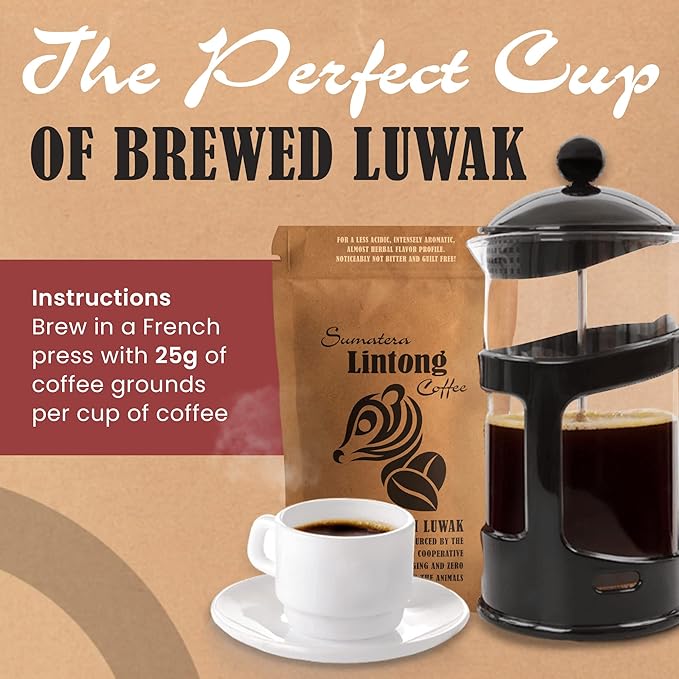 Wild Kopi Luwak the World’s Most Exclusive Coffee Sustainably Sourced From Sumatra Indonesia (100gr / 3.5oz)