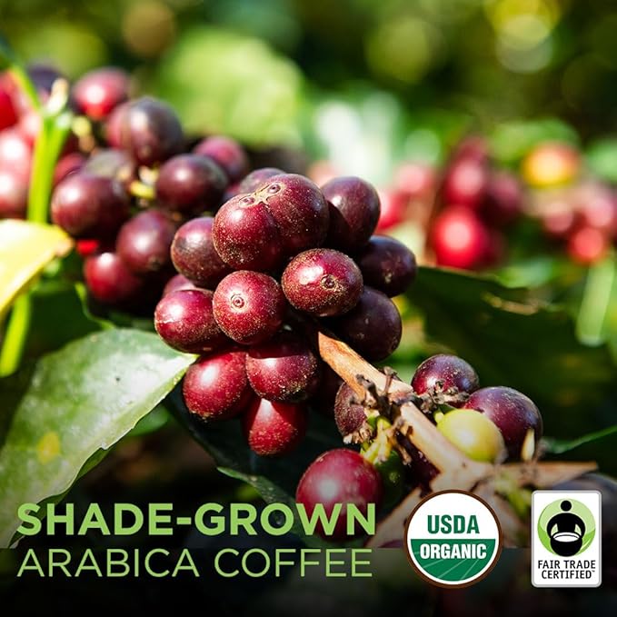 Tiny Footprint Coffee Organic Signature Blend Light Roast - Whole Bean Coffee USDA Organic &amp Carbon Negative - You Drink Coffee We Plant Trees 3 Pounds