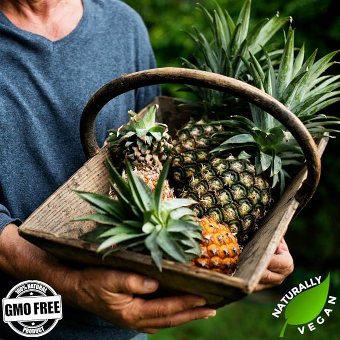 Gerbs Dried Pineapple Unsweetened 2 lbs. | Dehydrated Unsulfured No Added Sugar Resealable Bag | Naturally Tart &amp Energizing | Top 14 Allergen-Free