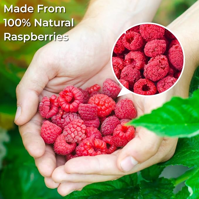 Freeze Dried Whole Raspberries 3.53oz (100g) – 100% Natural No Sugar Added | Crunchy Whole Berry Snack for Baking Yogurt &amp Smoothies | Large Resealable Jar