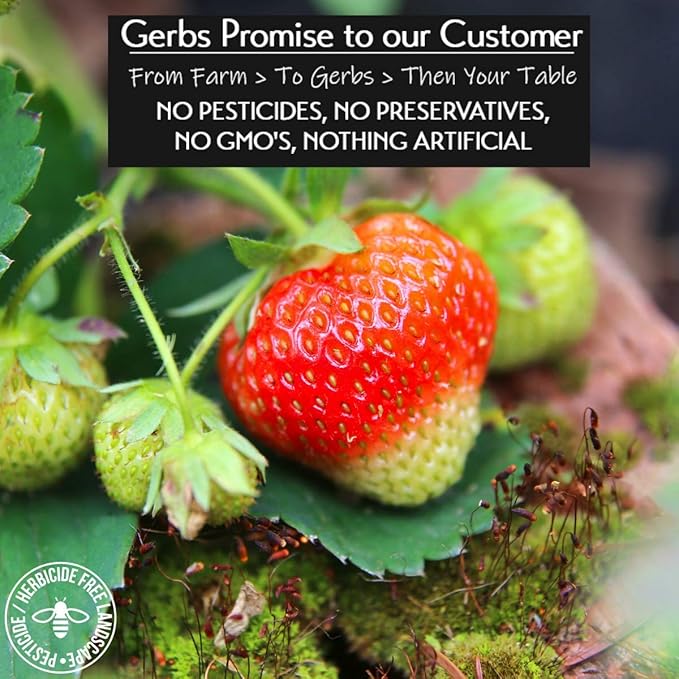 Gerbs Summer Sweet Strawberries 4 lb. | Dehydrated Unsulfured Resealable Bag | Naturally Sweet &amp Tart | Top 14 Allergen-Free