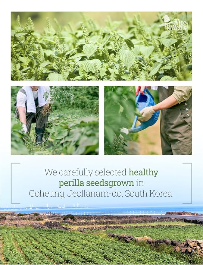 NICE WITCH'S Korean 100% Peeled Perilla Seeds Powder Flour 300g (10.5 oz) / 한국산 탈피 들깨가루