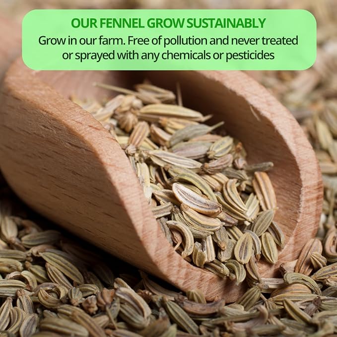 VIDA FARM 125 Fennel Tea Bags 100% Natural Dried Fennel Herbal Tea No Sugar No Caffeine