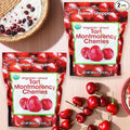 Kirkland Whole Dried Tart Montmorency Cherries – 2 Bags (40 oz Total) Sweet &amp Tangy Flavor Kosher Certified Antioxidant Rich Healthy Fruit Snack Bulk Pack