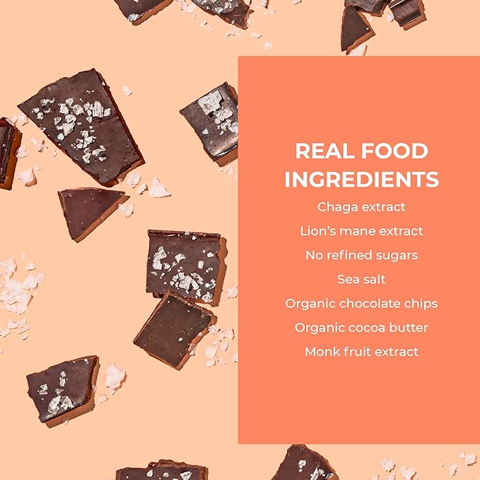 Laird Superfood Functional Protein Bars – Protein Bar but Better with Real Ingredients Functional Mushrooms 10g Plant-Based Protein 6g Fiber - Non-GMO - Dark Chocolate Sea Salt 10 Count (Pack of 1)