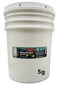 Wilderness Poets Raw Macadamia Butter (640 Ounce - 40 Pound - 5 Gallon)