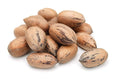 Anna and Sarah Premium Georgian Raw Fresh Pecans in Shell 2 Lbs