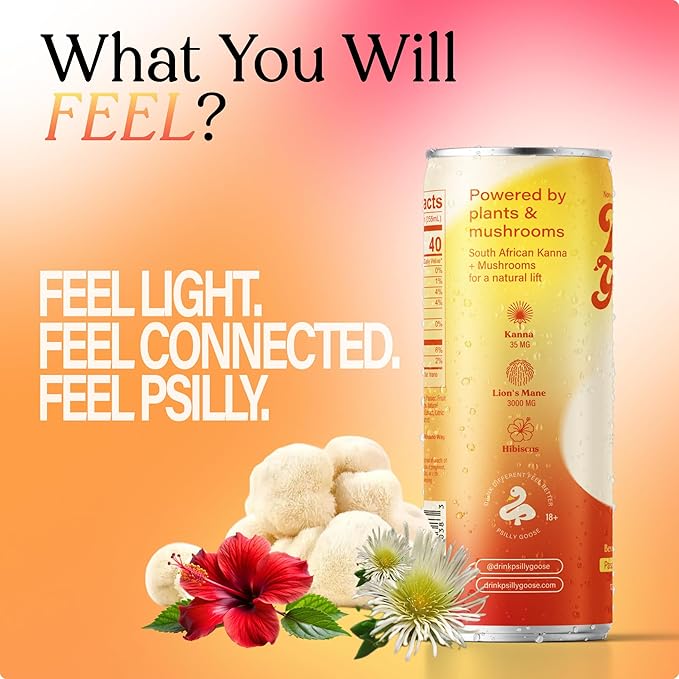 Non-Alcoholic Social Drink &amp Functional Beverage | Silly - Passionfruit Mango 12 FL OZ | Powered by Kanna &amp Lion's Mane | 4-Pack