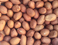 Pinstar Premium Raw Red Skin Peanuts 5 Pounds