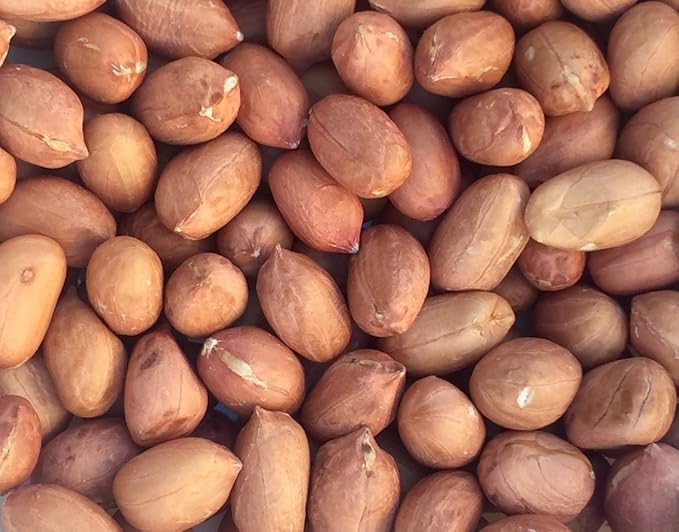 Pinstar Premium Raw Red Skin Peanuts 5 Pounds