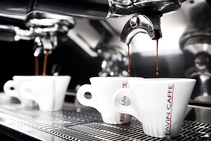 Italian Espresso Coffee Beans – Dark Roast Super Bar Pavin Caffè 1kg