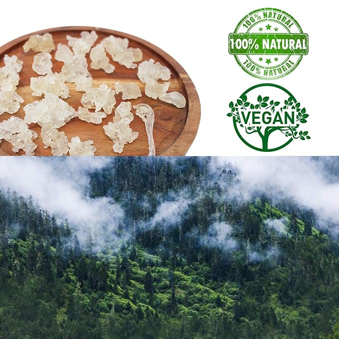 DABC OAK LAND 1 Pounds Natural Wild Tragacanth Gum Snow Swallow (Xueyan) 補水保濕 天然野生雪燕 16OZ Packed in USA
