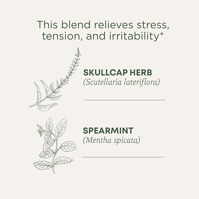 Traditional Medicinals Organic Stress Ease Tension Relief Tea Lemon Verbena Mint 96 Count (Pack of 6)