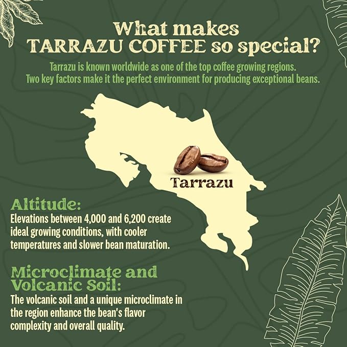 Kwiso Coffee Classic Tarrazu Costa Rica Single Origin 100% Arabica – Medium Roast Ground Gourmet Specialty Coffee 17.6 oz