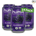 Humm Kombucha Blackberry Organic Vegan &amp GMO Free (24 Pack)