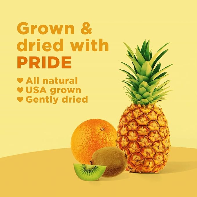 RIND Snacks | Tropical Blend | Bittersweet Orange Organic Pineapple &amp Tangy Kiwi | Dried Fruit Superfood | Chewy Snack | Fiber Rich | Vitamins A C &amp E | Paleo | Vegan | Fruit Snacks | 3 oz