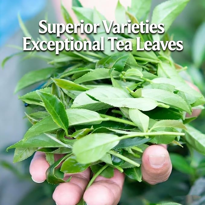 NASLAPH Alishan Oolong Tea Taiwan High Mountain Oolong Tea with Distinctive Aroma Formosa Chinese Gaoshan Ulong Tea Traditional Craftsmanship 阿里山茶 台湾高山茶 中国茶 茶 乌龙茶 8.82 Oz