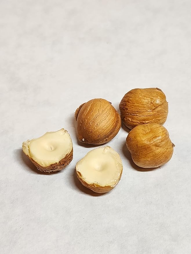 Hazelnuts in-shell from our family orchard in Washington state (Raw 4 pounds)