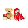 RED Delight®™ 100 Piece Chocolate Gift Box (100 Piece Gift Box Combo w/Bars &amp Truffles +14 Plush Bear Bar Variety + Truffle Variety)