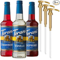 Torani Sugar Free Syrup Variety 3-Pack Strawberry Raspberry and Vanilla Zero-Calorie Syrups for Drinks Pumps Included 25.4 Oz Ea
